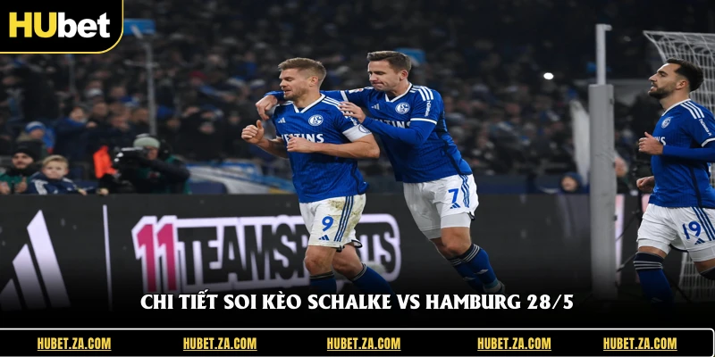Chi tiết soi kèo Schalke Vs Hamburg 28/5